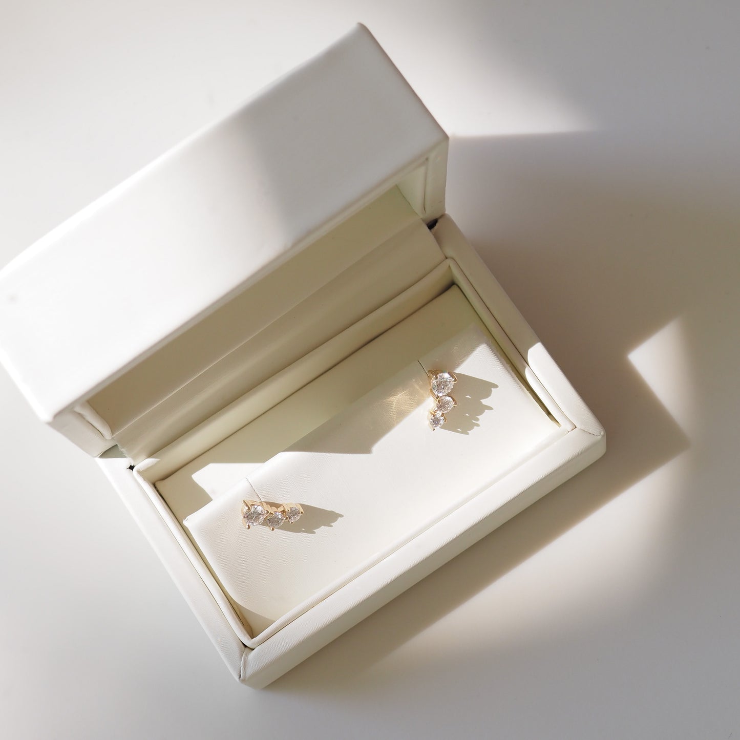 Pair of earrings in a beige jewelry box on a white background