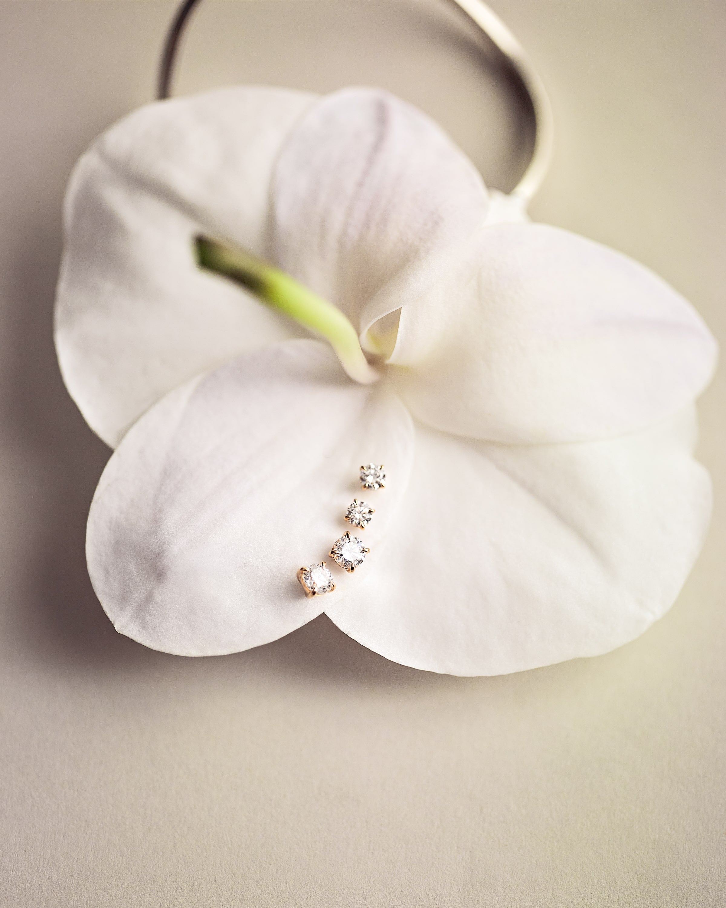 Pair of diamond stud earrings on a white orchid petal