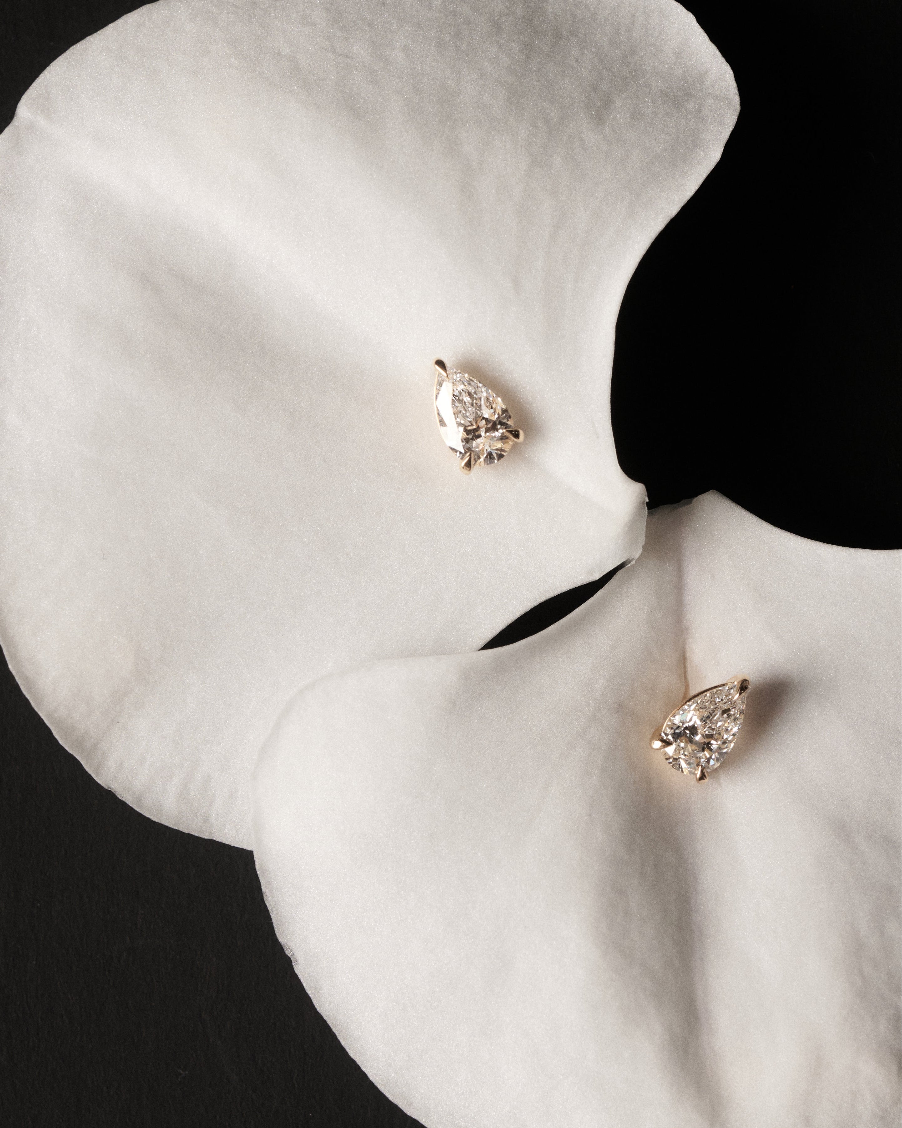 Pear-shaped earrings on a white petal against a black background
