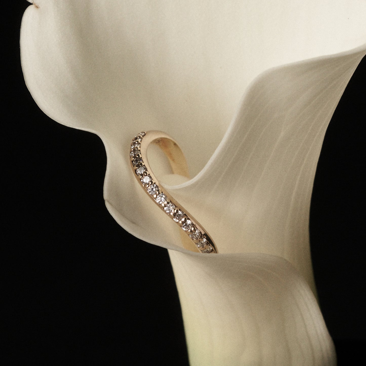 Gold awa ring with clear stones on a white petal against a black background