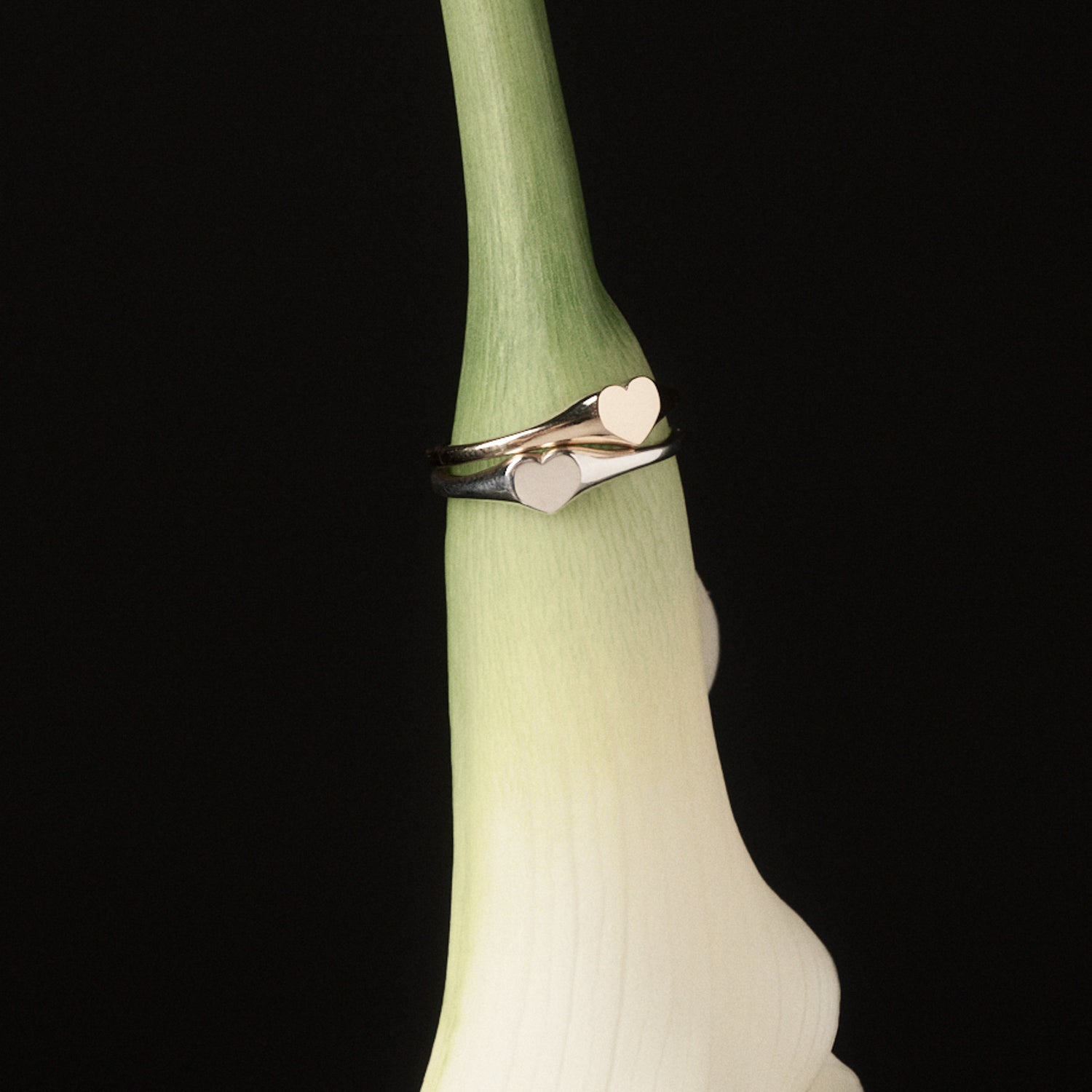 Silver ring with heart designs on a green stem against a black background