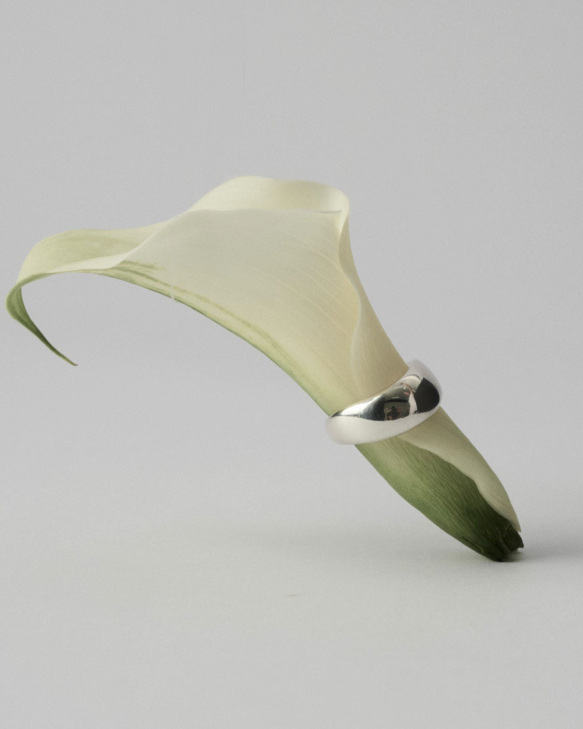 Green leaf-shaped object with a silver ring on a gray background