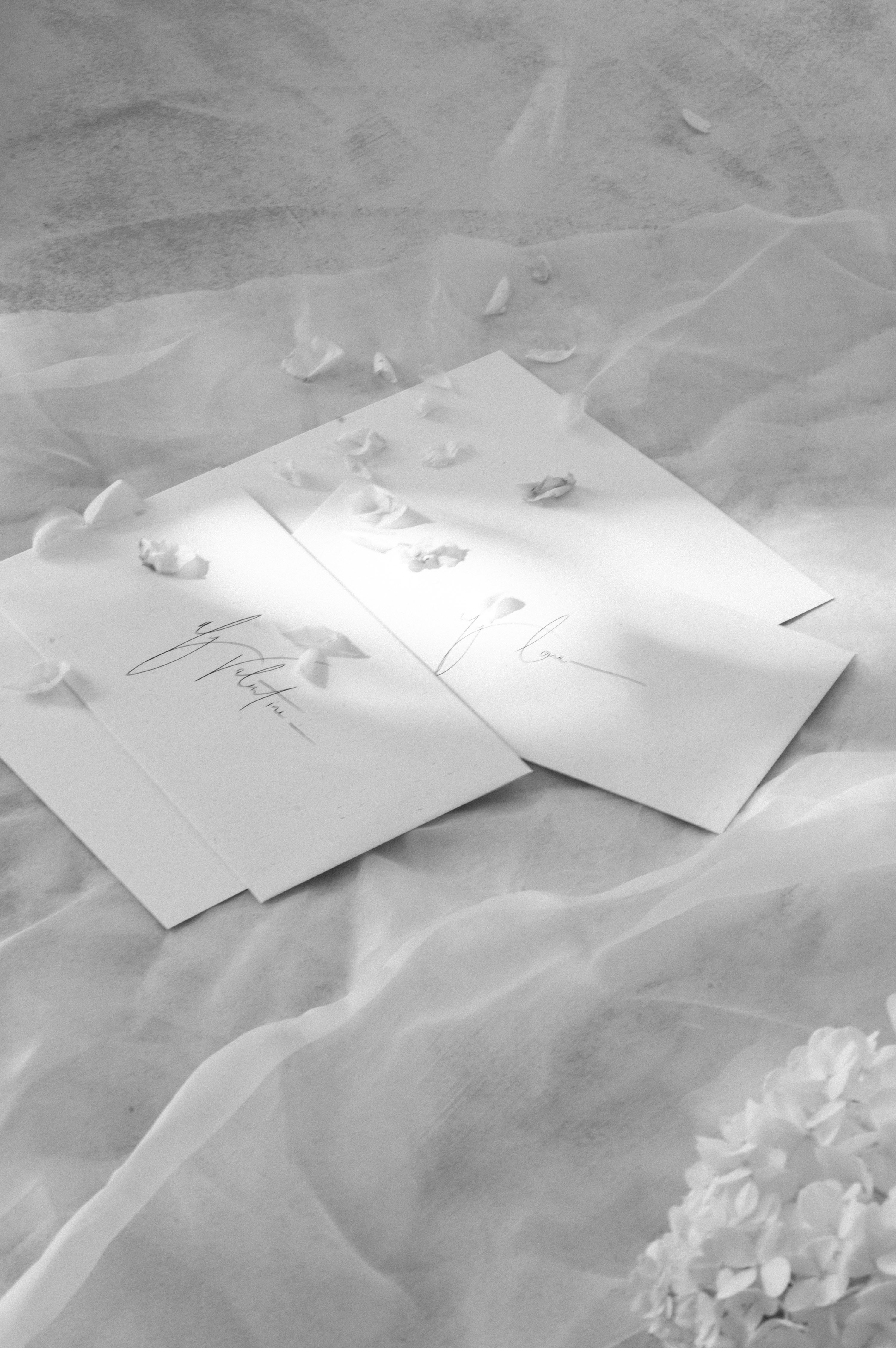 Elegant invitation letters on sheer fabric with scattered white petals and delicate hydrangea blooms, evoking luxury and sophistication.